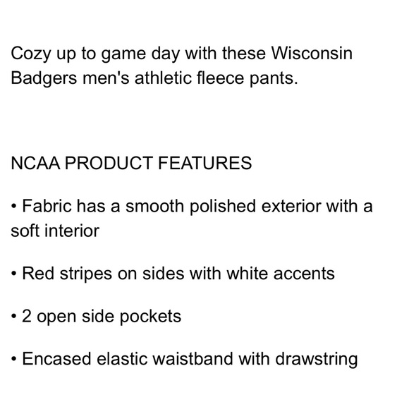 Colosseum Wisconsin Badgers men’s size SMALL athletic pant - Picture 6 of 8